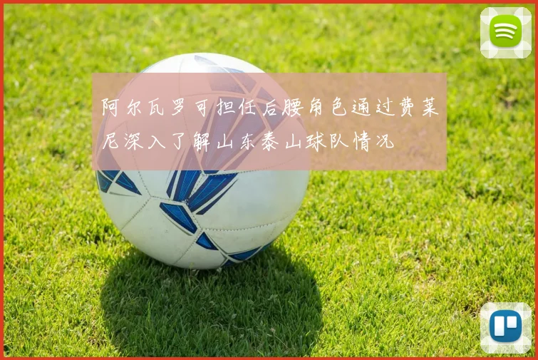 阿尔瓦罗可担任后腰角色通过费莱尼深入了解山东泰山球队情况
