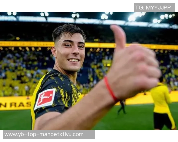 切尔西计划下赛季召回安塞尔米诺多特无缘签约他 切尔西计划下赛季召回安塞尔米诺多特无缘签约他